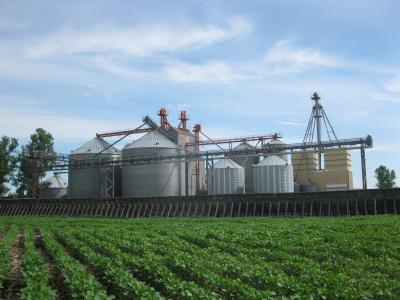 Picture of Hartog Elevator Plessis with bean field in foreground